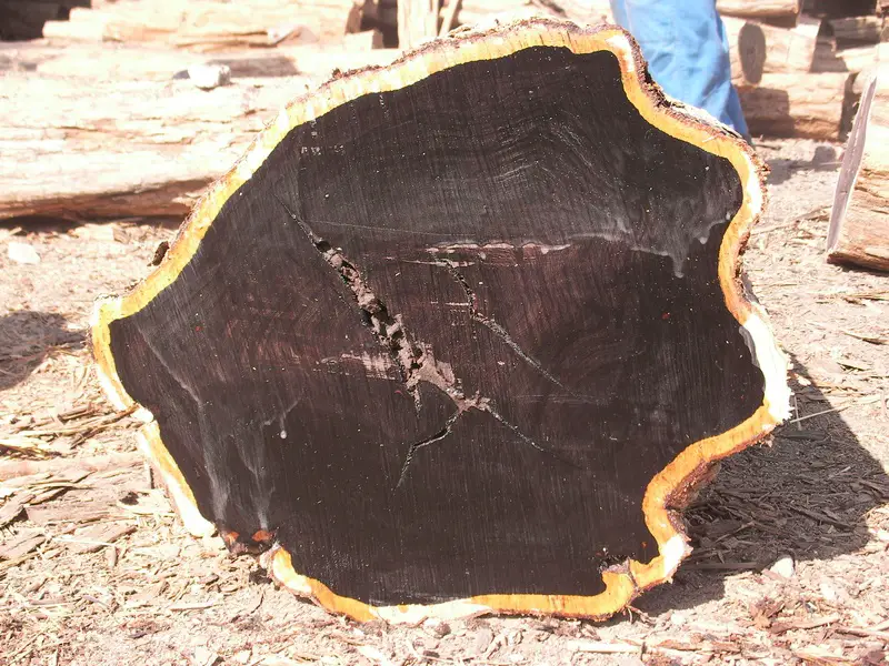 Types Of Black Wood At Alice Everett Blog