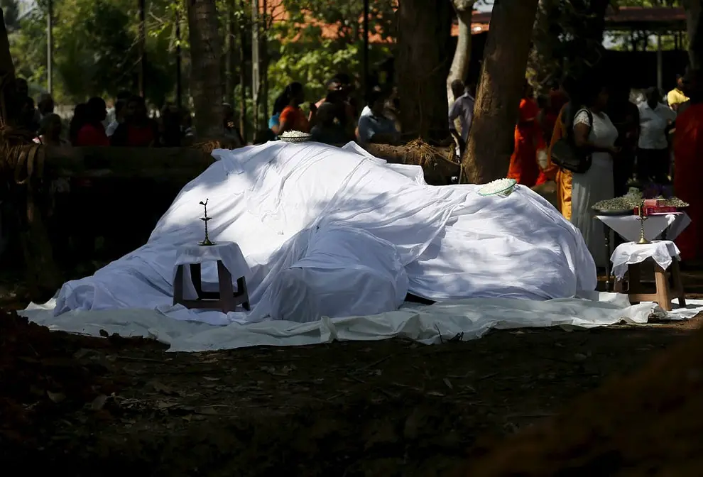 A covered dead body of elephant Hemantha is seen during a religious ceremony at a Buddhist temple in Colombo March 15, 2016.