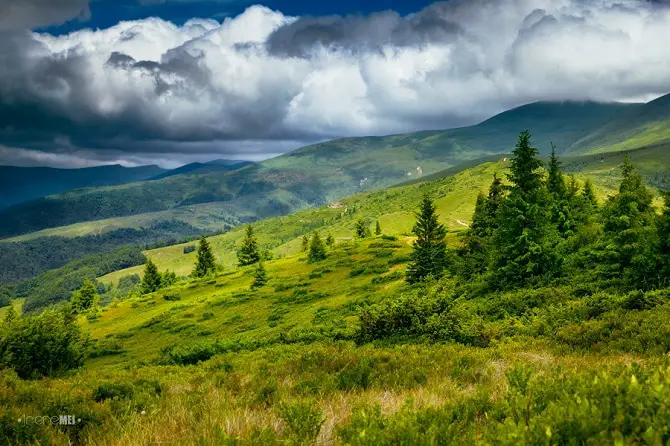 Carpathian Mountains