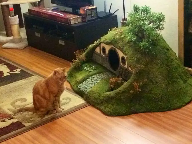 Frodo The Cat With His Own Hobbit Home