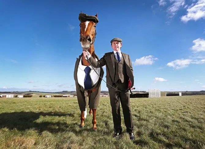 Horse in Suit