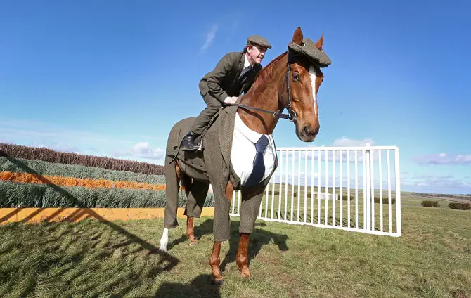 Horse in Suit