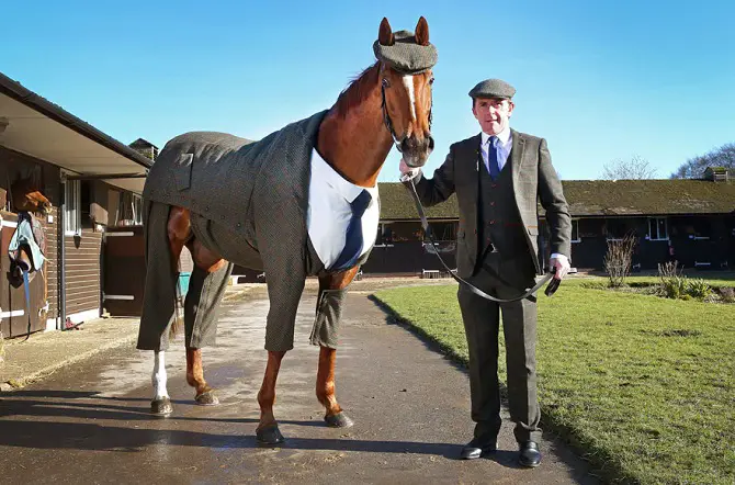 Horse in Suit