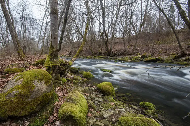 Jägala River