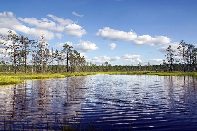 Lahemaa National Park