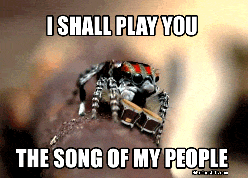 Peacock Spider Song