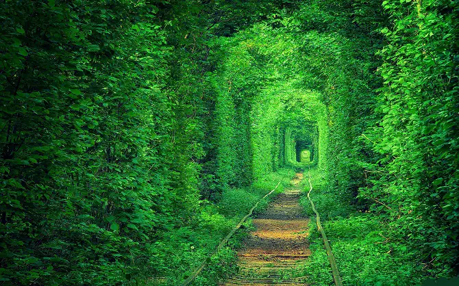 Tunnel Of Love