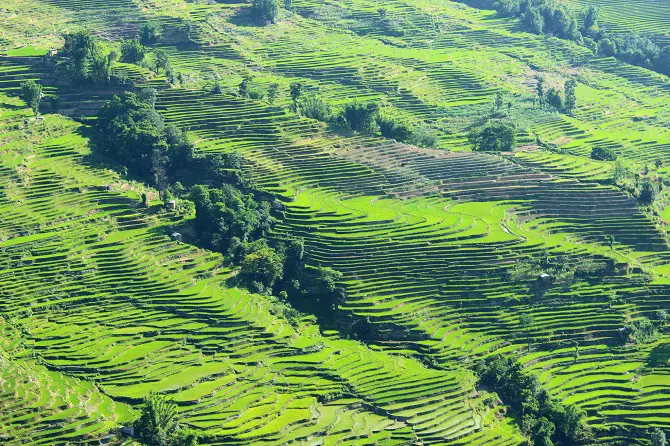 Yuanyang Rice Terraces