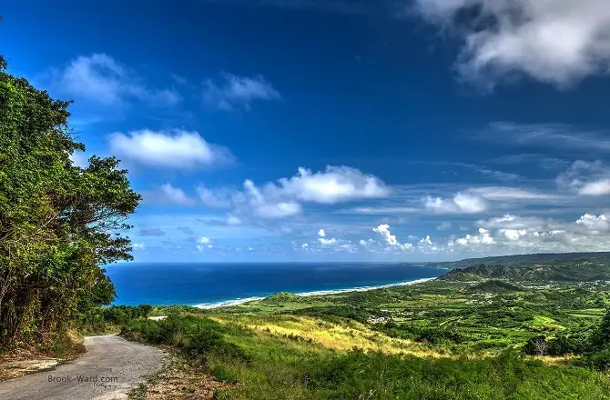 Cherry Tree Hill