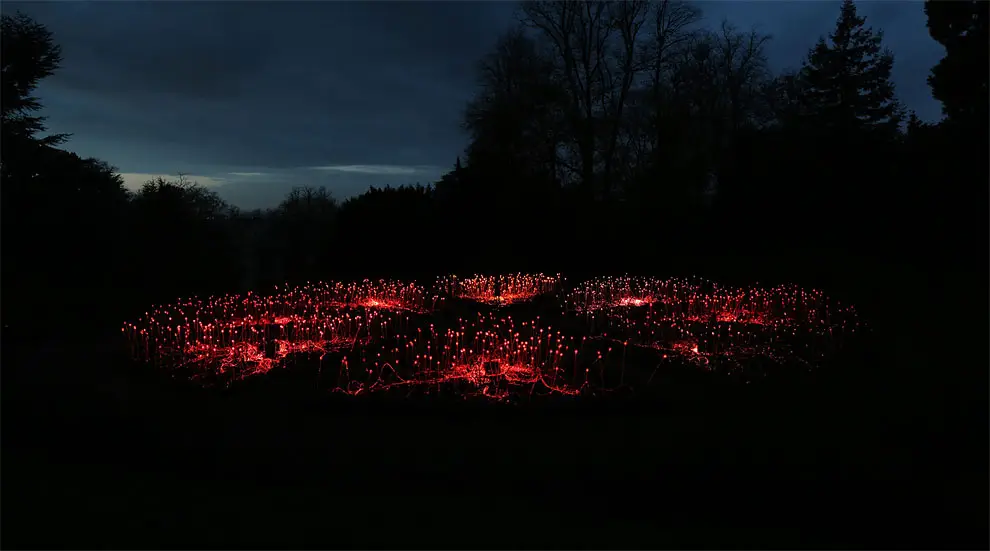 Field Of Light