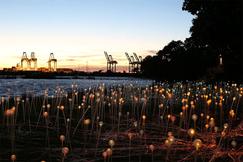 Field Of Light