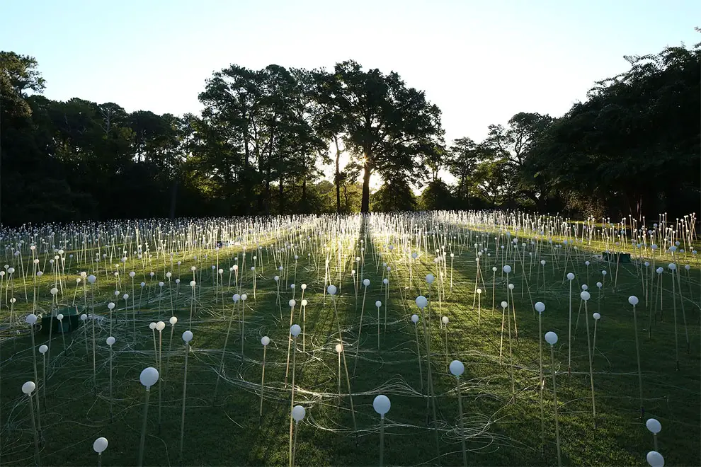 Field Of Light