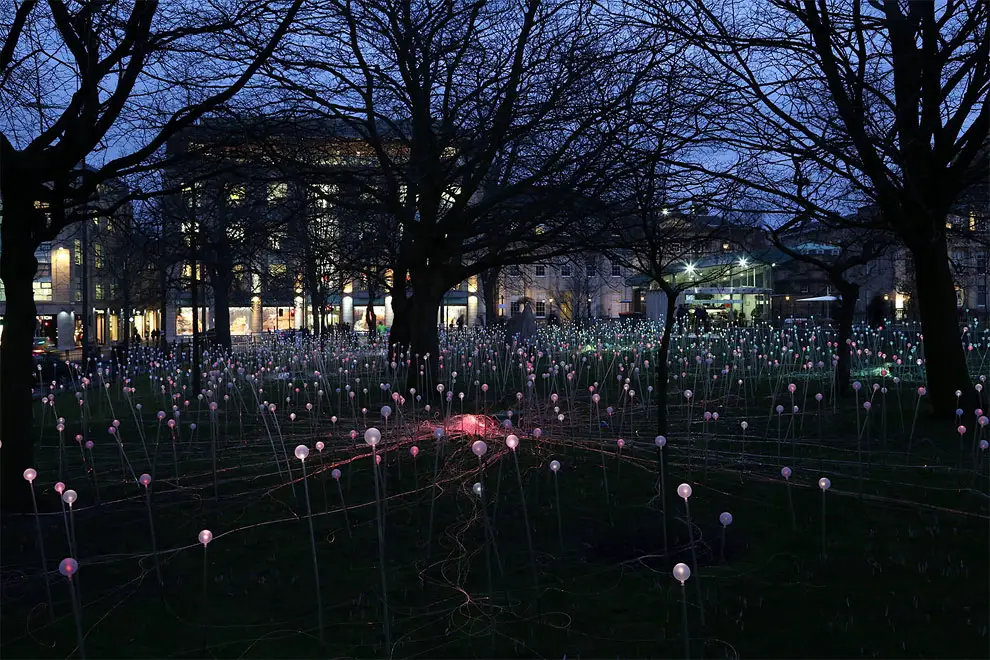 Field Of Light