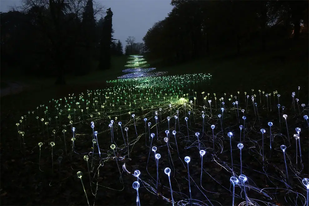 Field Of Light