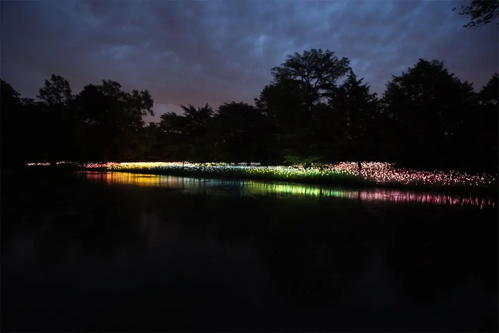 Field Of Light