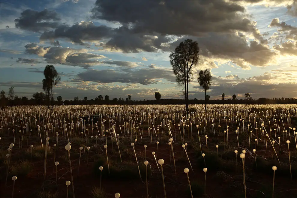 Field Of Light