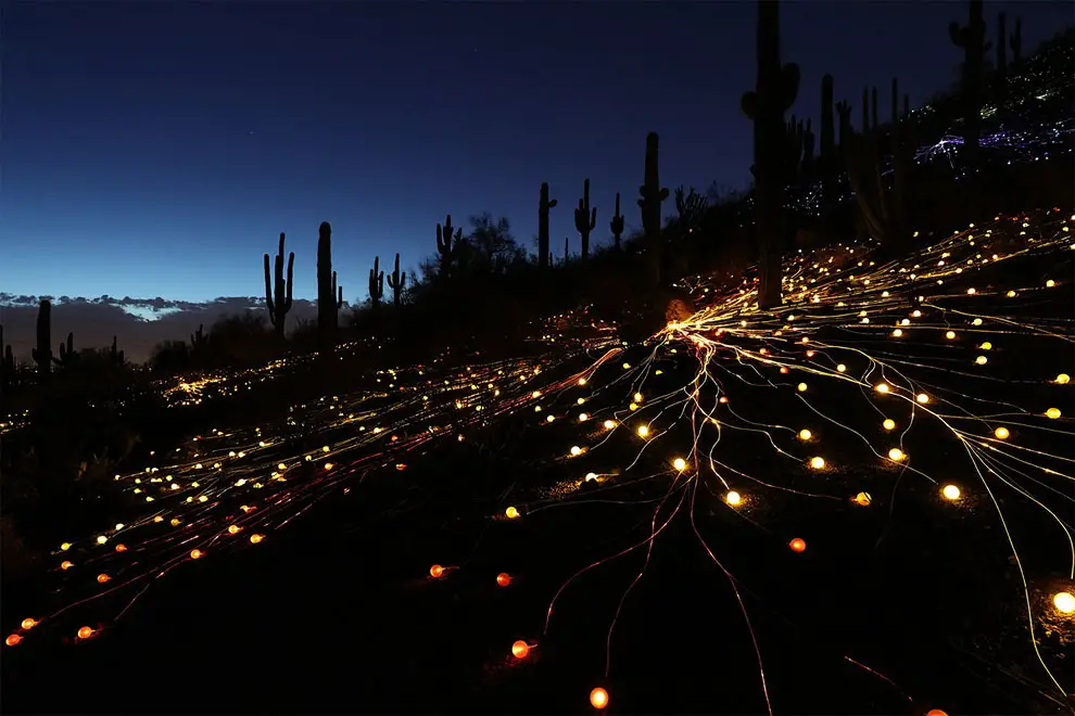 Field Of Light