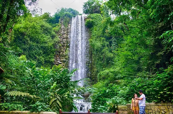 Jurong Bird Park