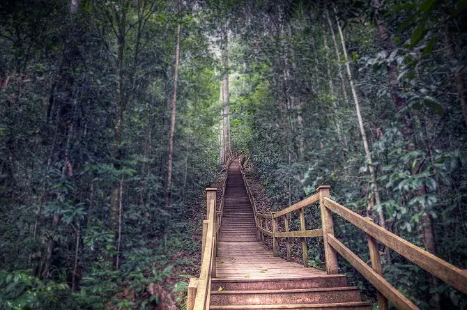 Ulu Temburong National Park