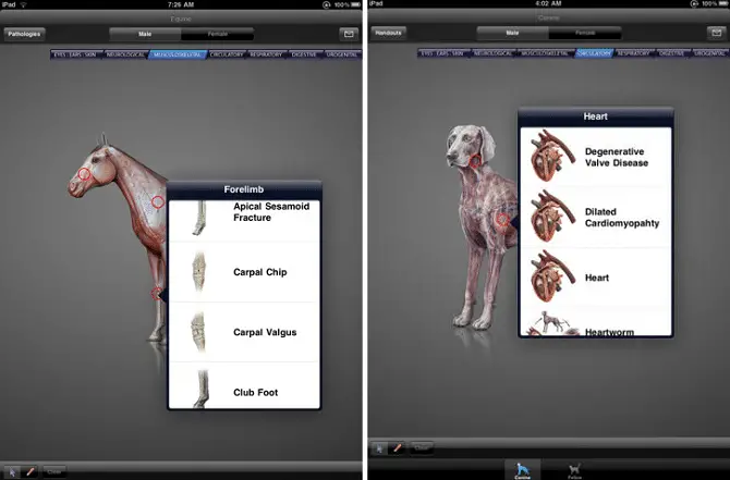 iDIA - Diagnostic Imaging Atlas, Small Animal