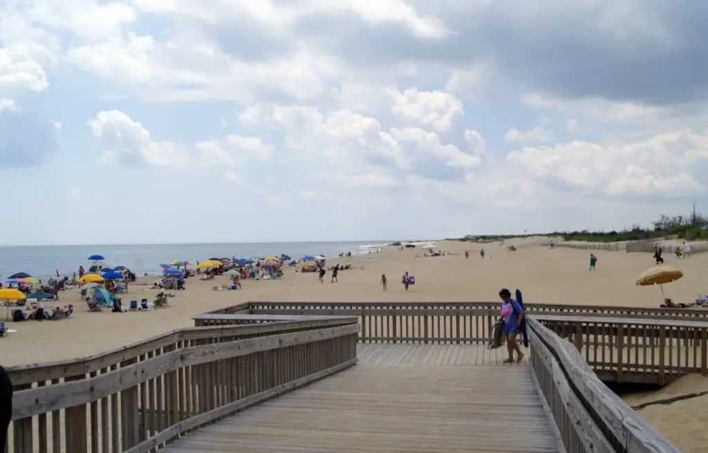 Seashore State Park Beach Delaware – Lazy Penguins