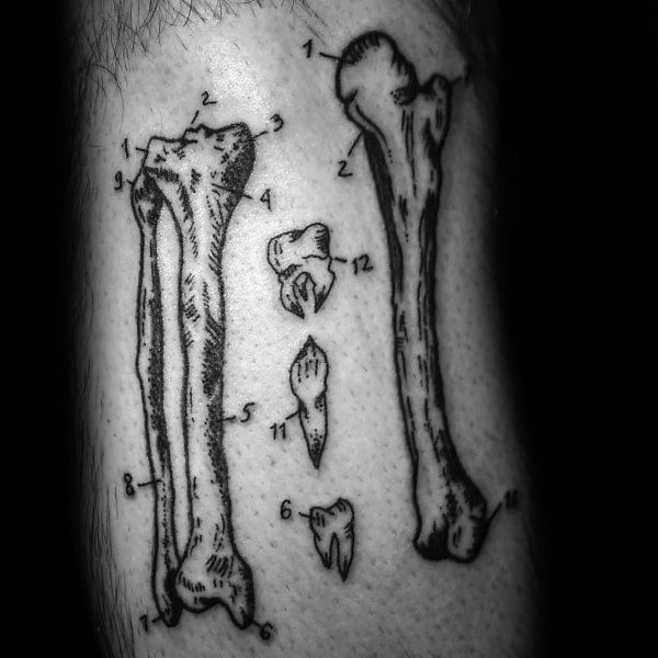 anatomical-themed-tattoo-ideas-for-men