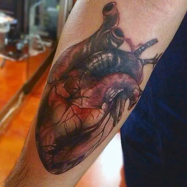 gentleman-with-anatomical-tattoo