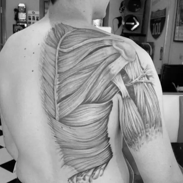 guys-tattoo-anatomical