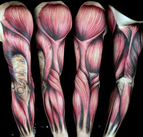 manly-anatomical-tattoos-for-males