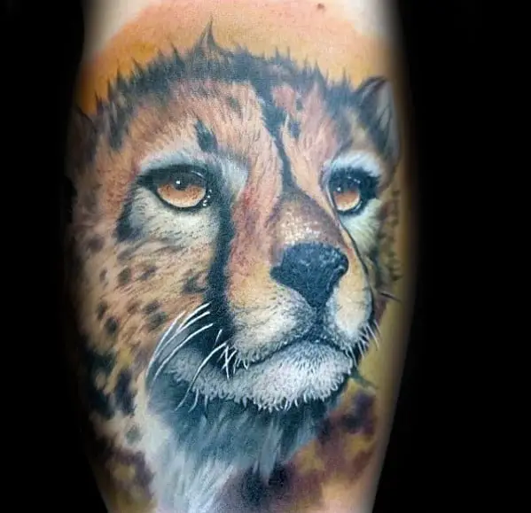 orange-cheetah-head-mens-arm-tatoos