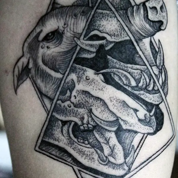 Dalton Roff tattoo  Done this BOAR SKULL  today Edmonton only 1  spot open during my guest  Facebook