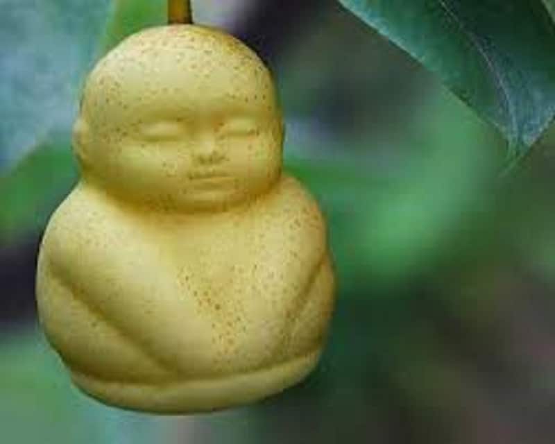 Baby pear
