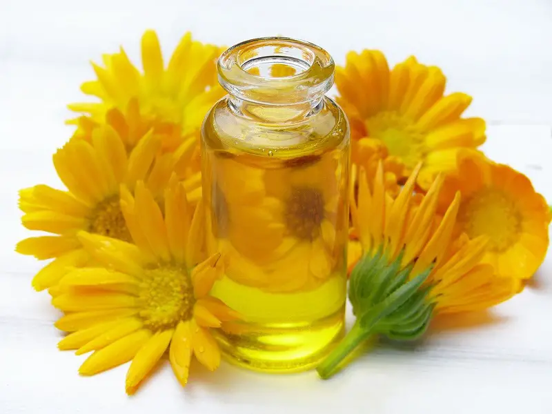 Calendula oil