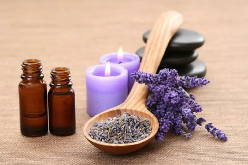 Lavender oil