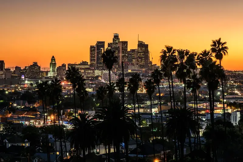 Beautiful sunset through the palm trees, Los Angeles, California
