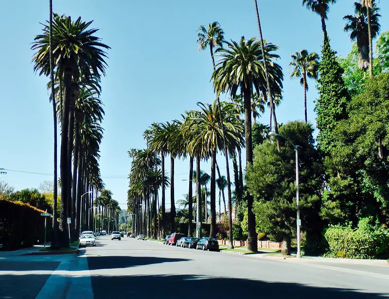 california-neighborhood