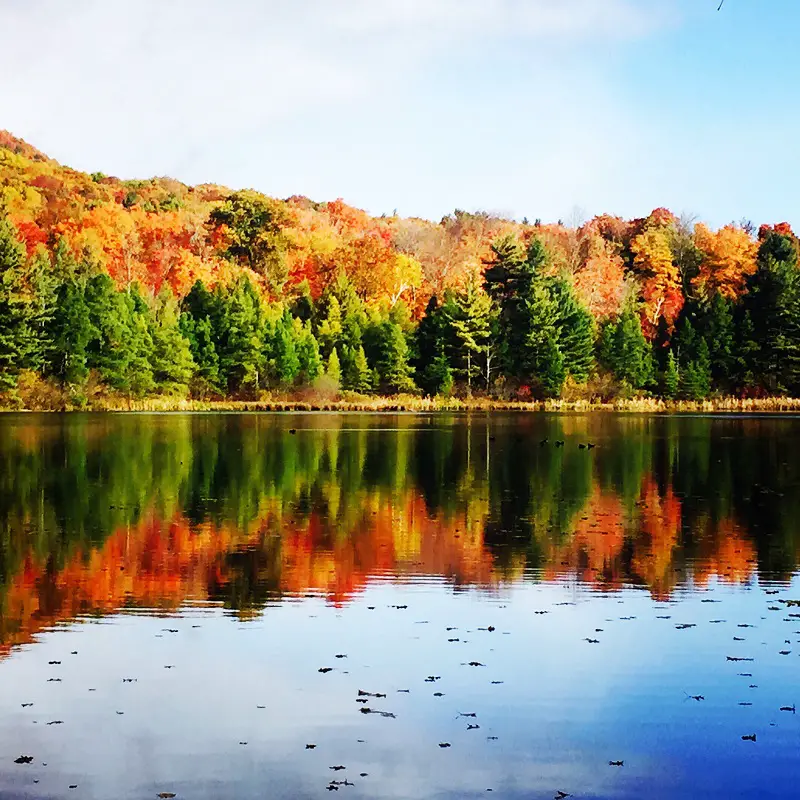 fall-in-vermont