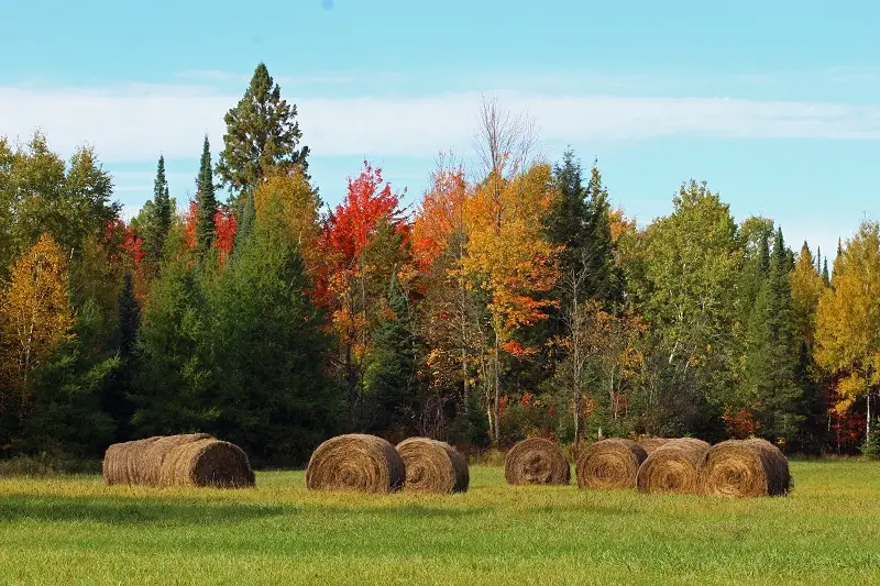 fall-in-wisconsin