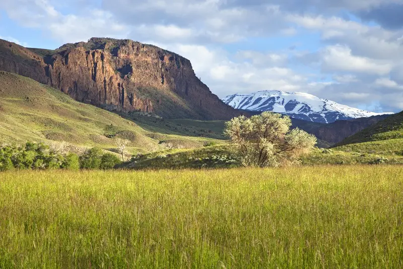 Field and mountains in Wyoming