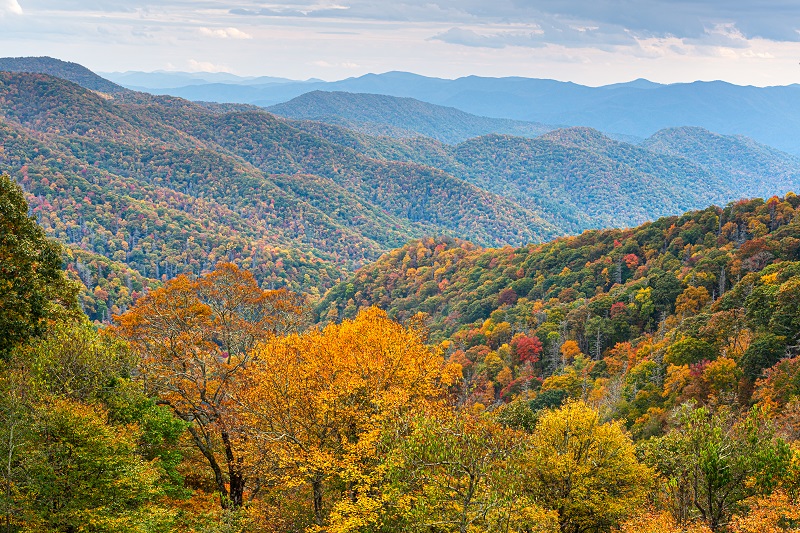 Great Smoky Mountains National Park, Tennessee, USA at the Newfo