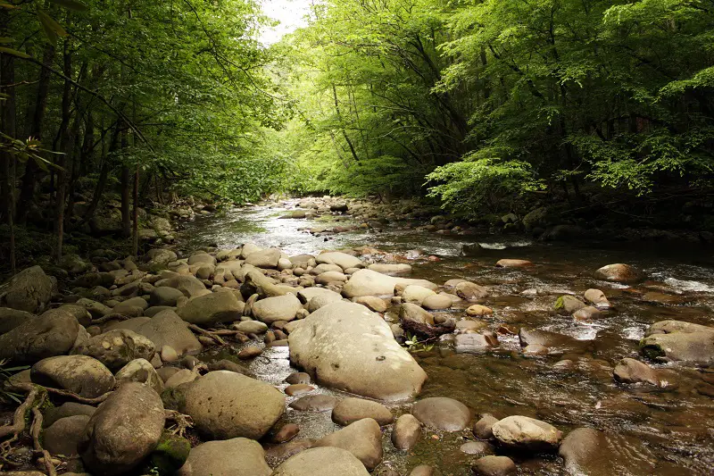 hiking-in-the-great-smokey-mountains-near-gatlinbu