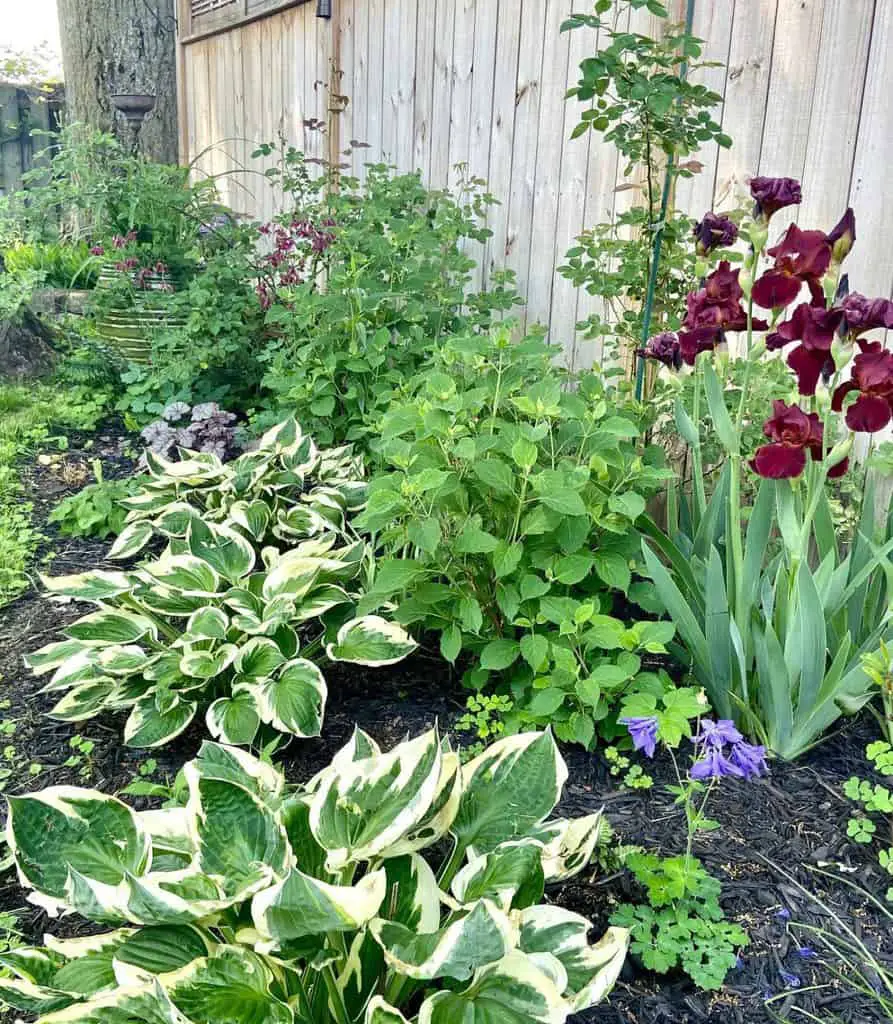 Top 30 Shade Garden Design Ideas