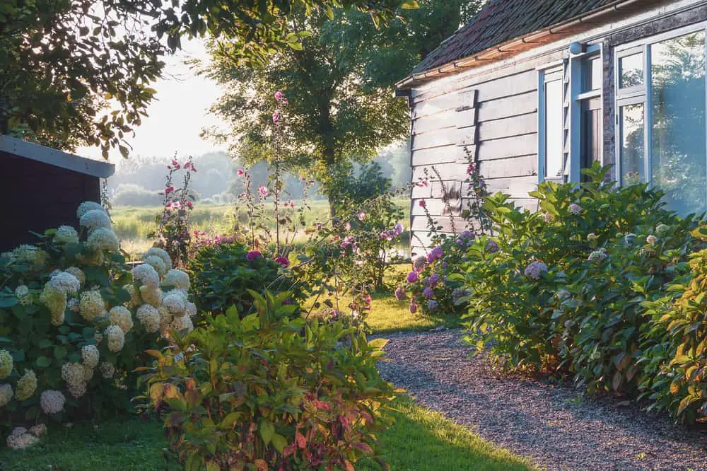 Cottage Shade Garden Designs