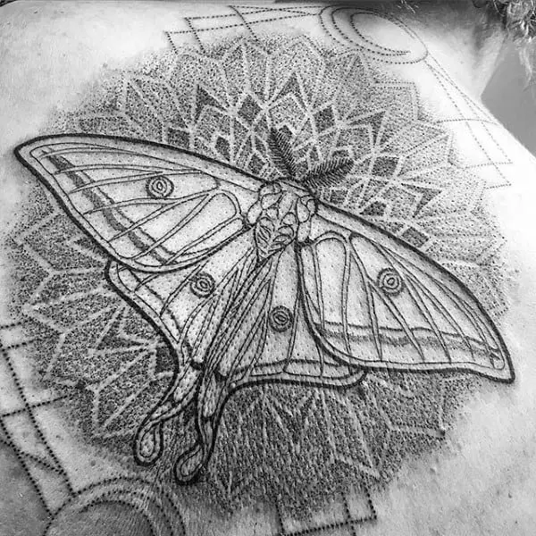 dotwork-floral-gometrical-pattern-moth-tattoos-for-guys-on-back