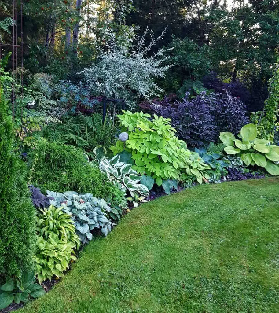 Landscaped Shade Garden Designs