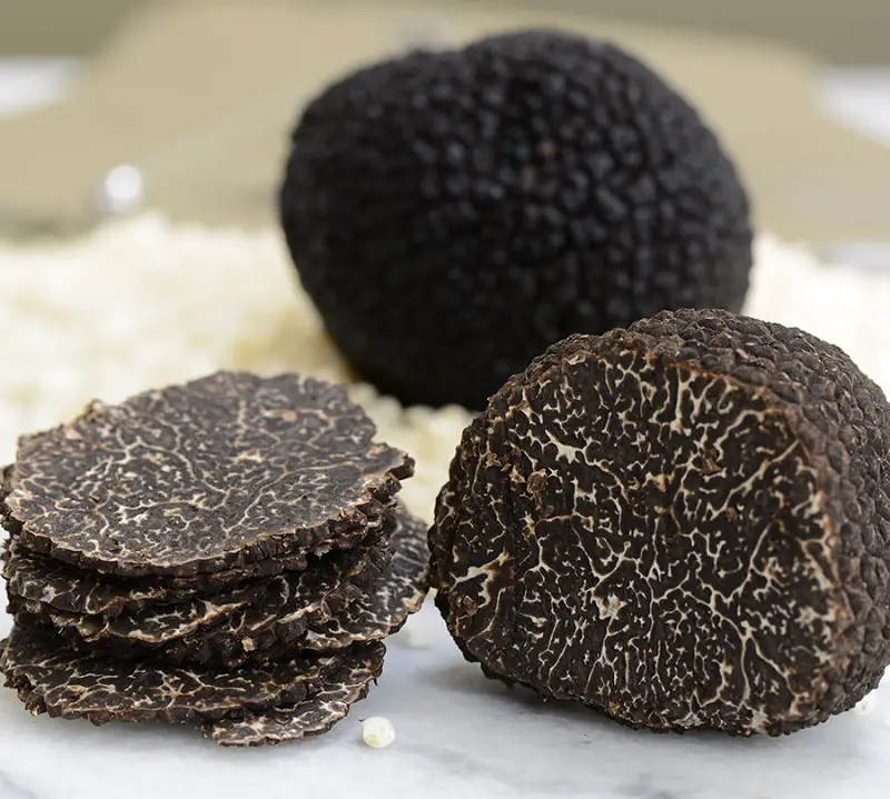 Black Truffle