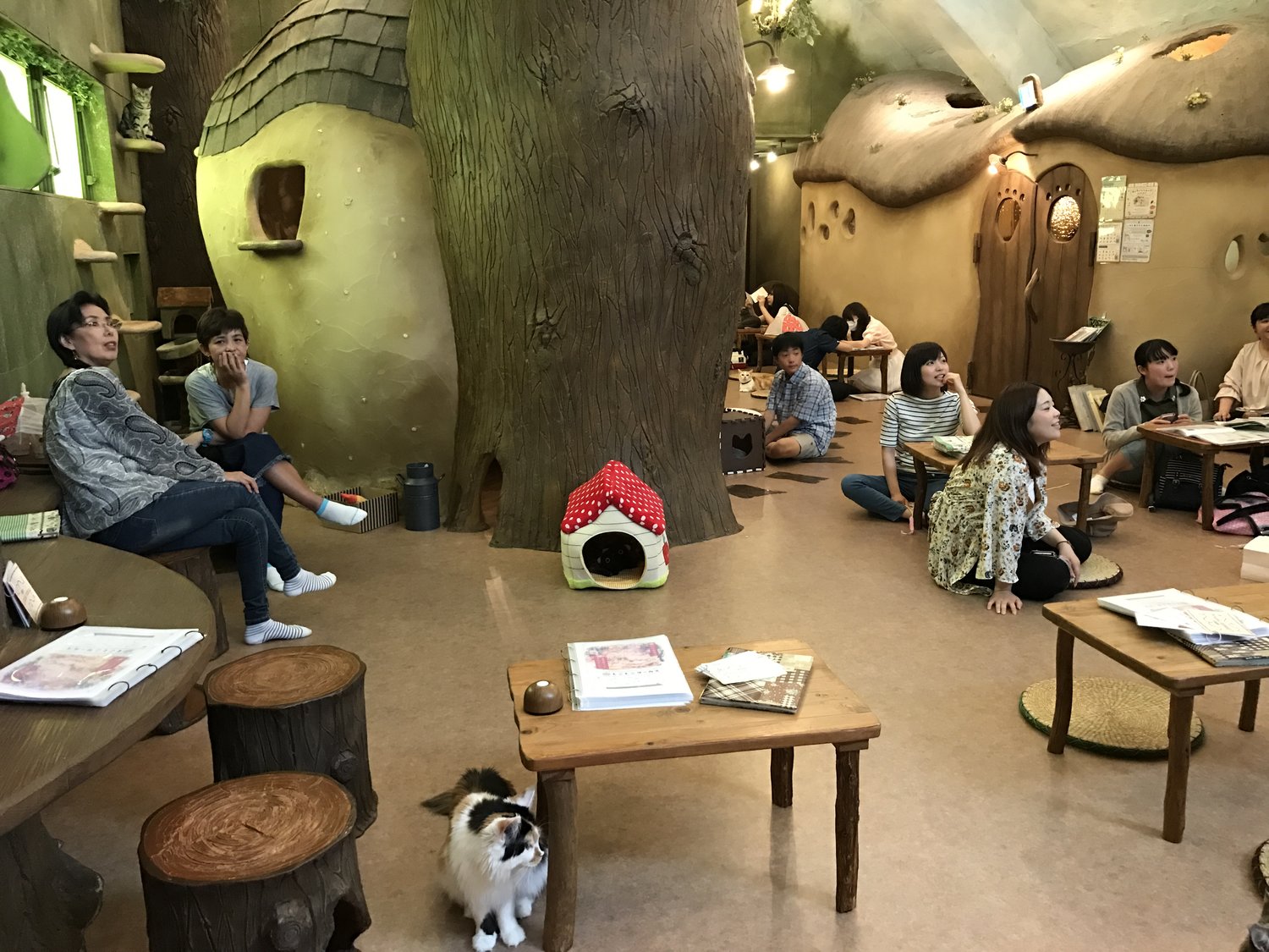 Cat Cafe Temari no Ouchi