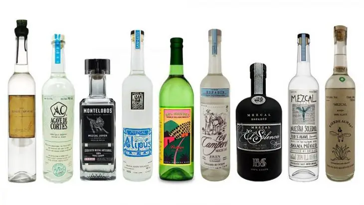 The Most Expensive Mezcals in the World - Lazy Penguins