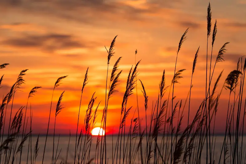 chesapeake-bay-sunrise-southern-maryland-usa