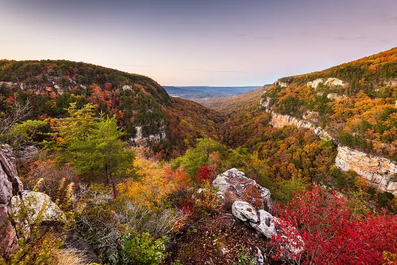 Cloudland Canyon, Georgia, USA